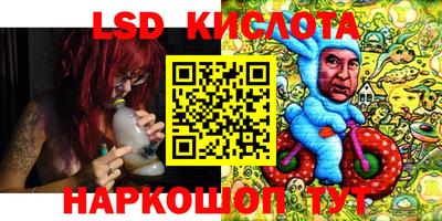 PSILOCYBIN Свободный